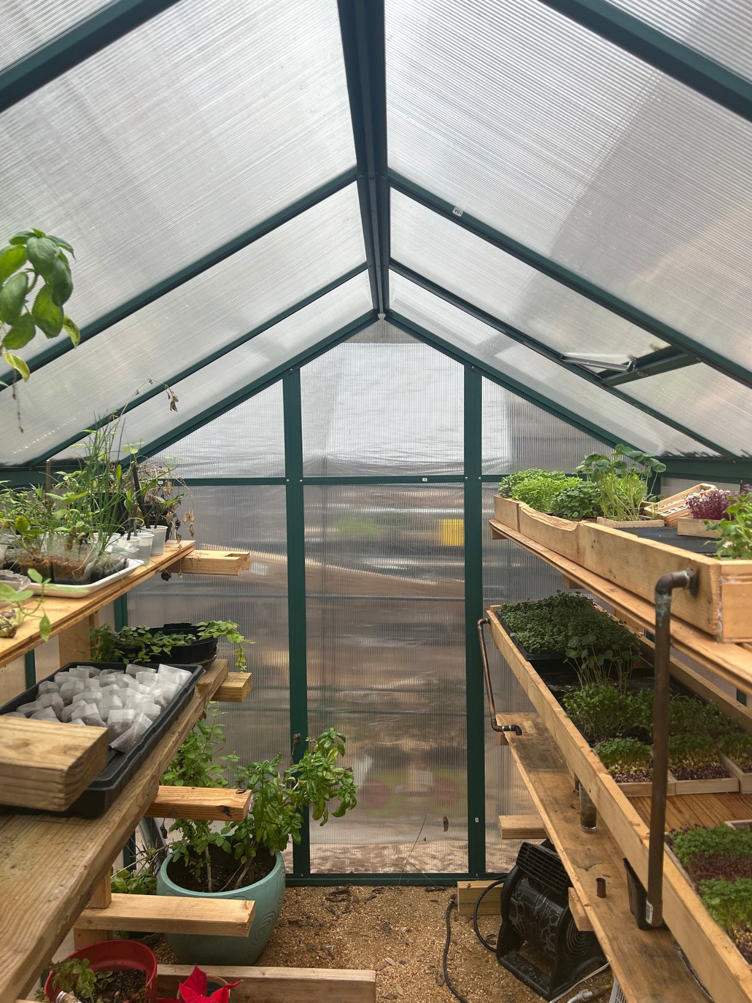 OZO greenhouse