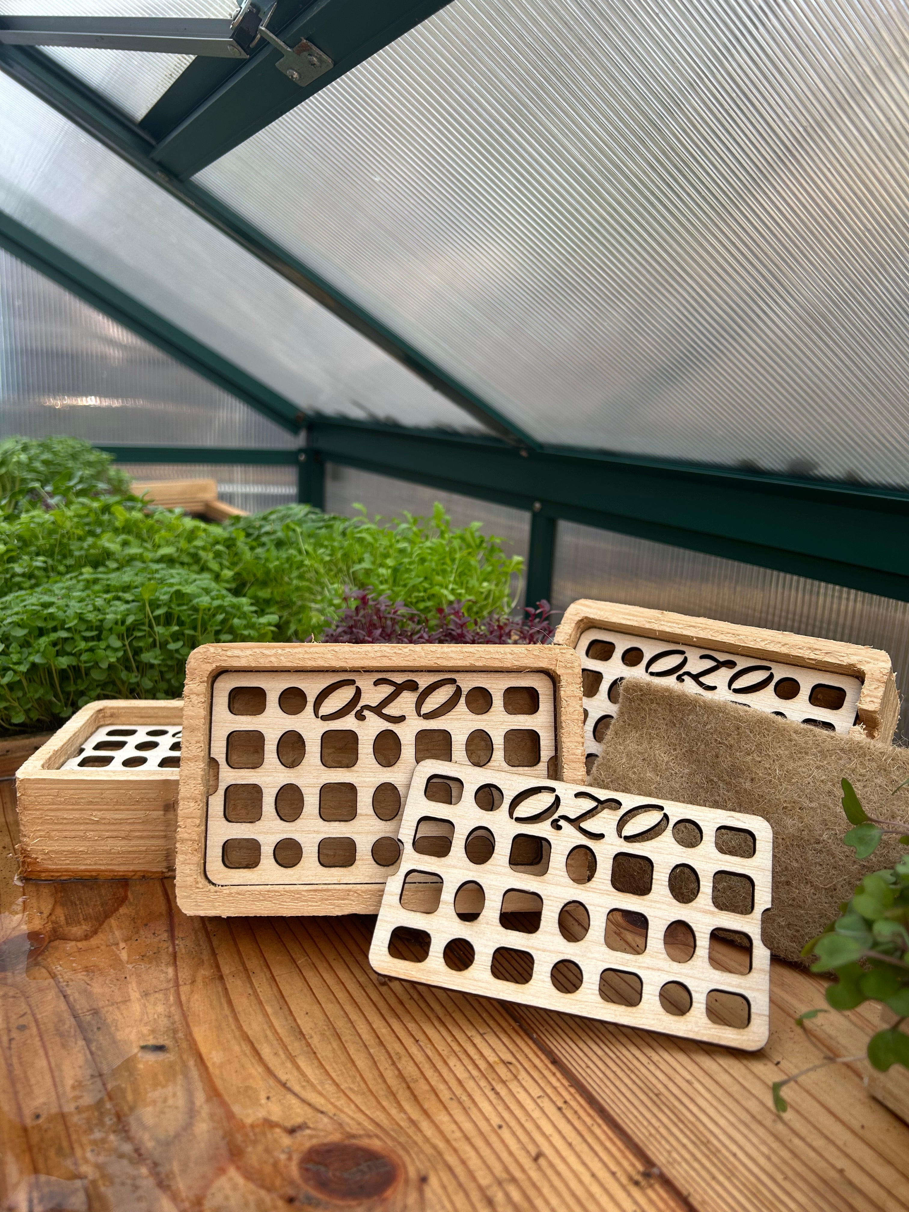 OZO Living Tray